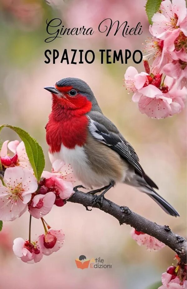 SPAZIO TEMPO